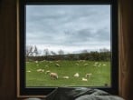 Through the window